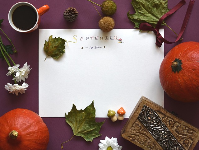 AI home organization dashboard showing task lists and family planning tools